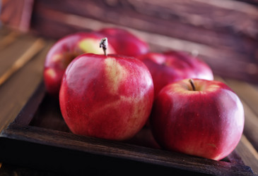 Similar image 7728016