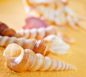 Similar image 7728019