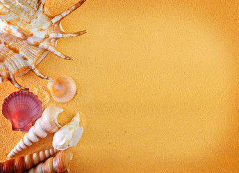 Similar image 7728026