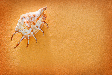 Similar image 7728027