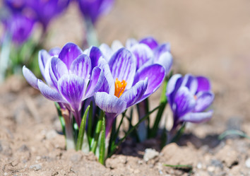 Similar image 7728113