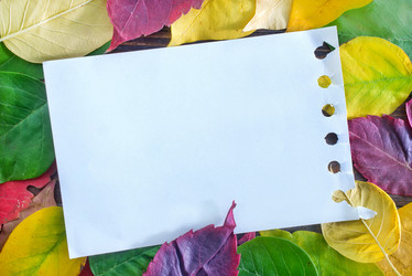 Similar image 7728143