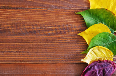 Similar image 7728170