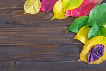 Similar image 7728171