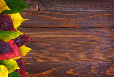 Similar image 7728178