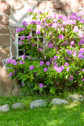 Similar image 7728269