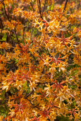 Similar image 7728310