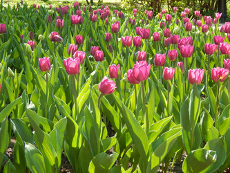 Similar image 7728369