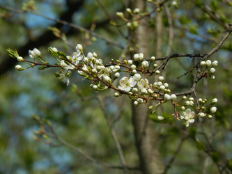 Similar image 7728370