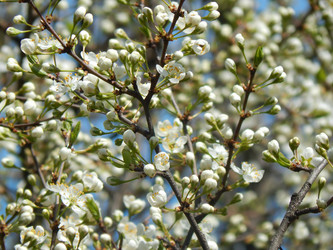 Similar image 7728371