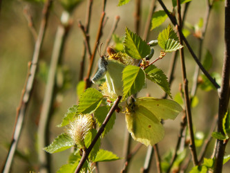 Similar image 7728389