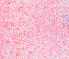 Similar image 7728966