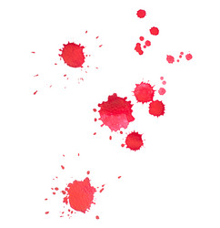 Similar image 7729046