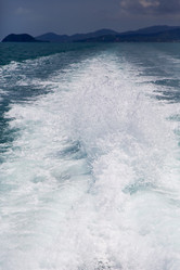 Similar image 7729120