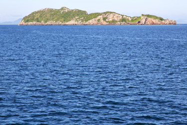 Similar image 7729125