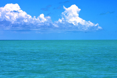 Similar image 7729145