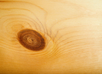 Similar image 7729174