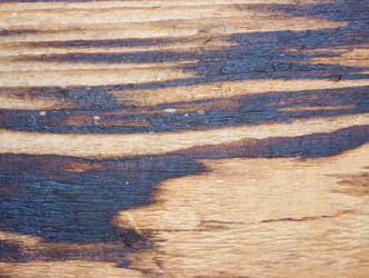 Similar image 7729179