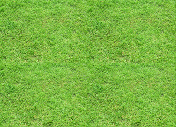 Similar image 7729214