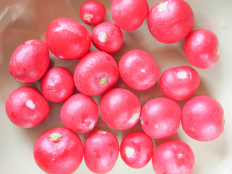 Similar image 7729233