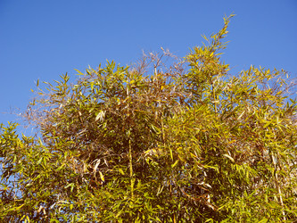 Similar image 7729288