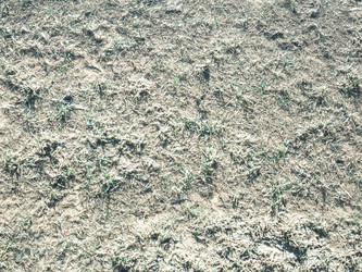 Similar image 7729336