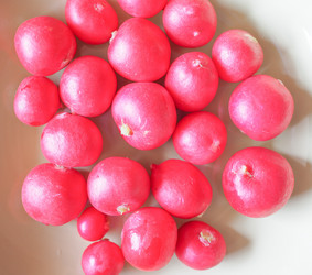 Similar image 7729351