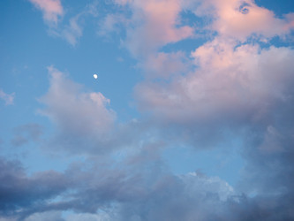 Similar image 7729381