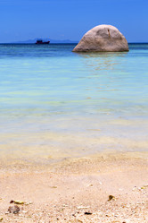 Similar image 7729531