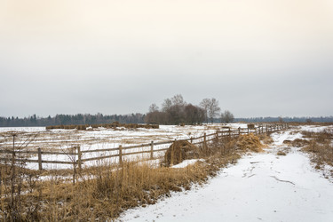 Similar image 7729544