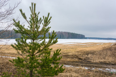 Similar image 7729565