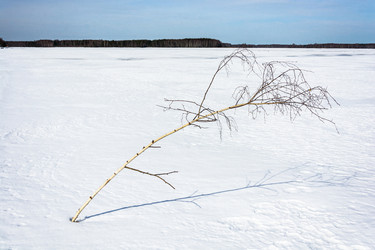 Similar image 7729567