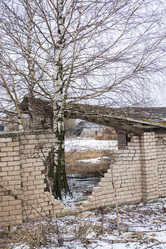 Similar image 7729568