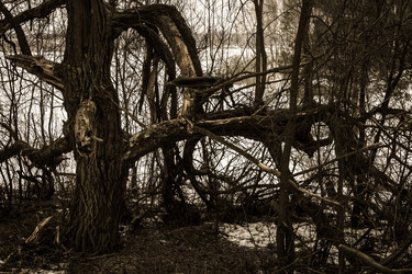 Similar image 7729571