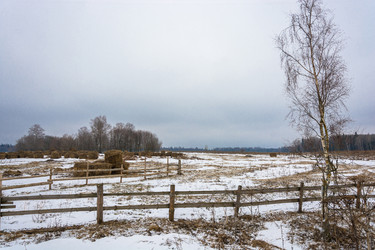 Similar image 7729575