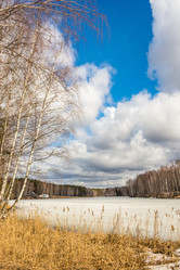 Similar image 7729578