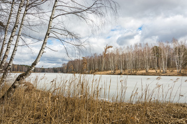 Similar image 7729580