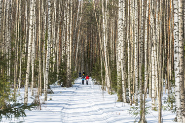 Similar image 7729584