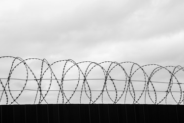 Similar image 7729589