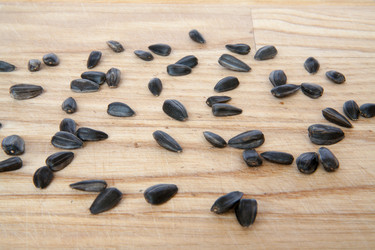 Similar image 7729605