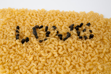 Similar image 7729623