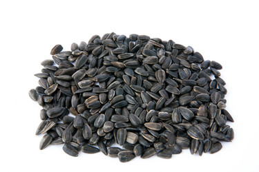 Similar image 7729632