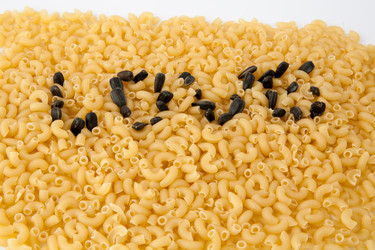 Similar image 7729634