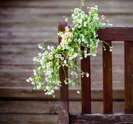 Similar image 7729779