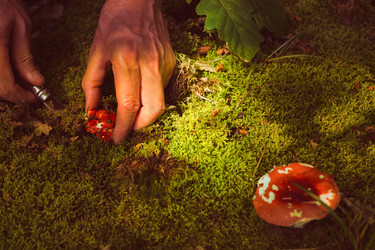 Similar image 7729780