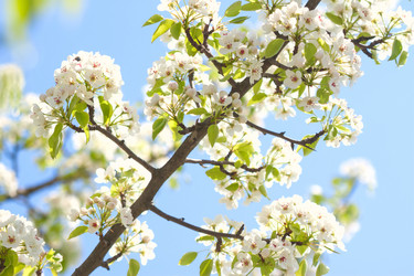 Similar image 7729789