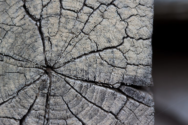 Similar image 7729824