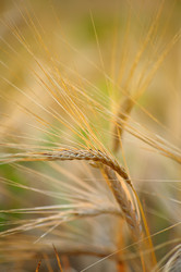 Similar image 7729973