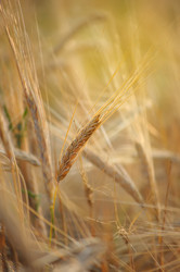 Similar image 7729986