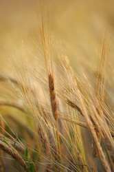 Similar image 7729987